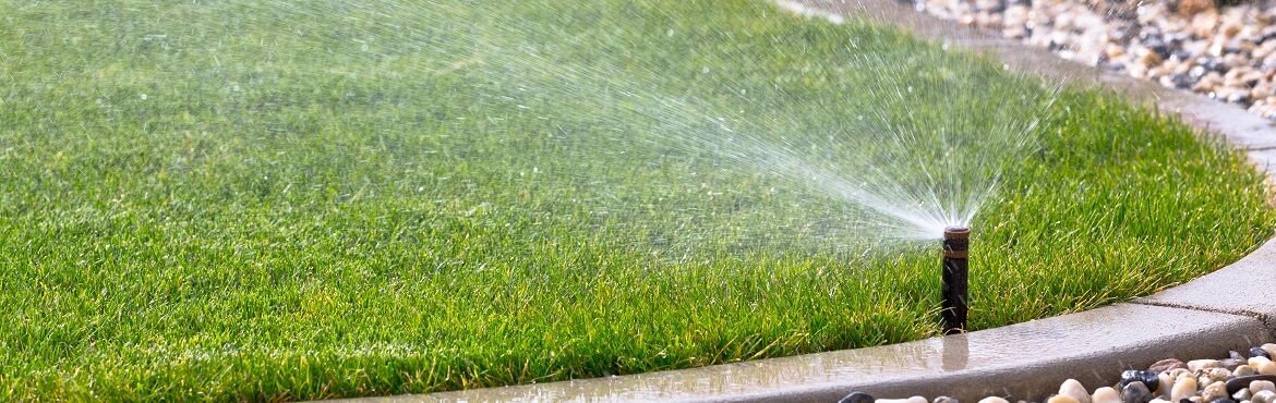 57+ Wann Sollte Man Den Rasen Wässern, Je nach bodenbeschaffenheit
