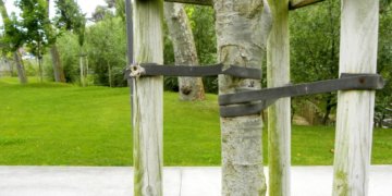 baum-gerade-richten-und-st-tzen-diese-m-glichkeiten-haben-sie