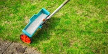 Erster Rasenschnitt im Frühling Was es alles zu beachten gilt