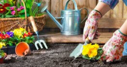 Gartenarbeit im März Teaser